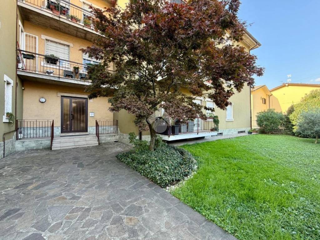 immagine annuncio 1 di 13