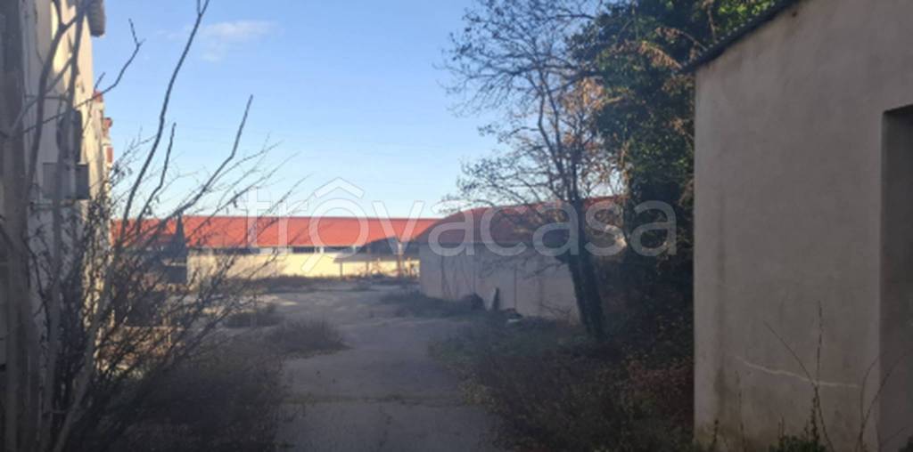 immagine annuncio 4 di 13