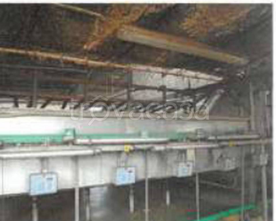 immagine annuncio 9 di 12