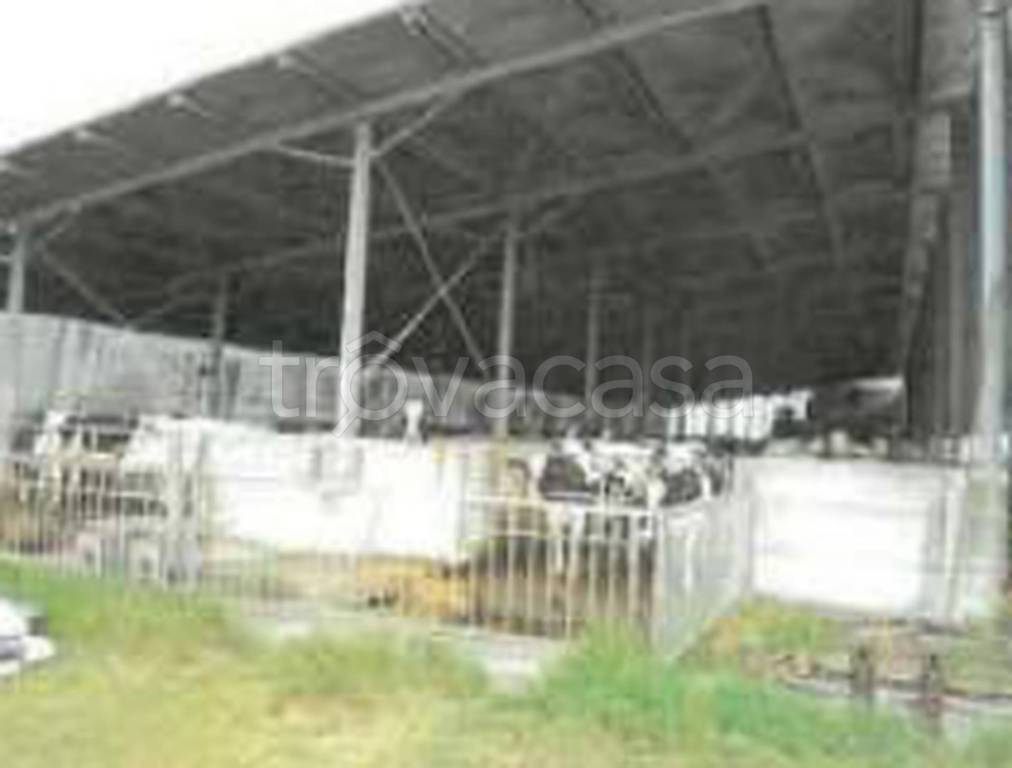 immagine annuncio 10 di 12