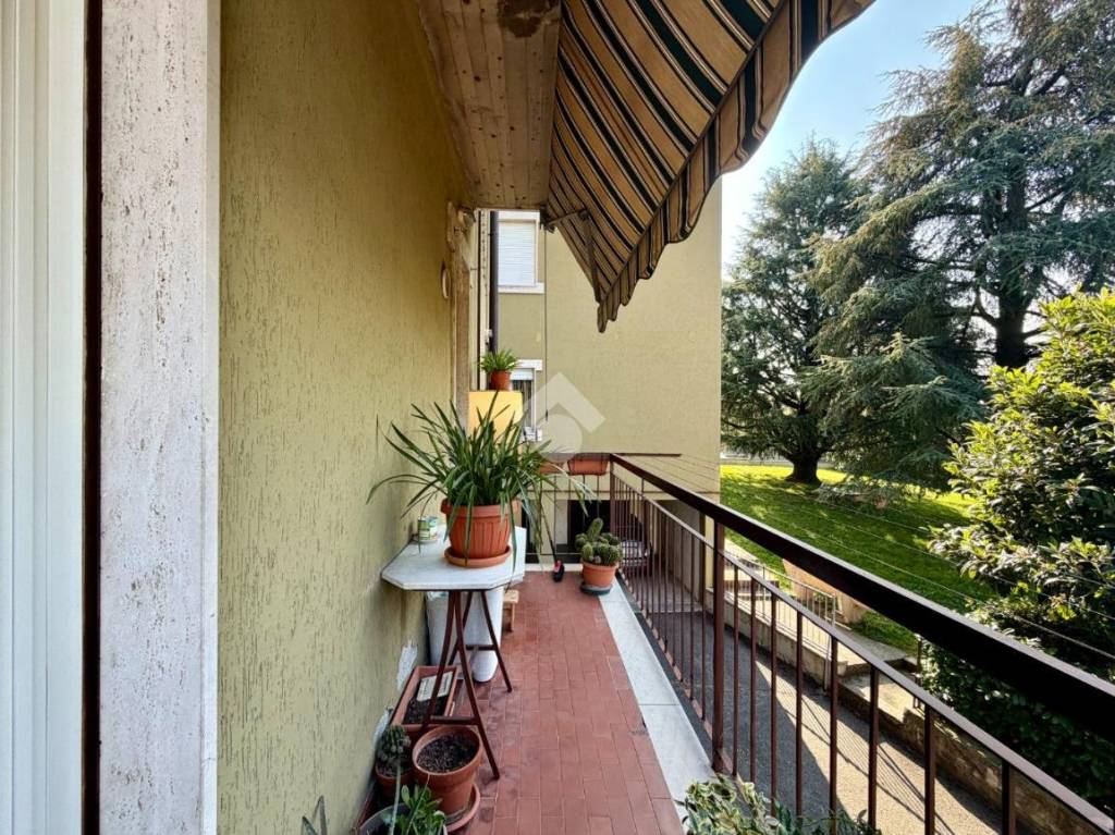 immagine annuncio 6 di 12