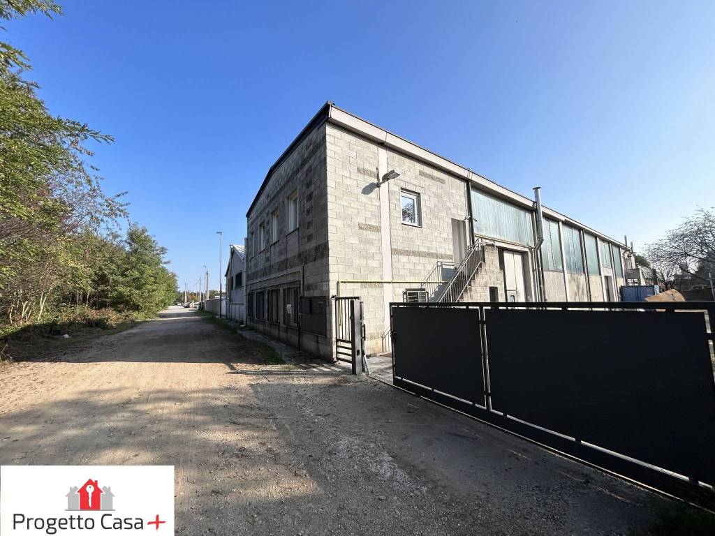 immagine annuncio 1 di 15