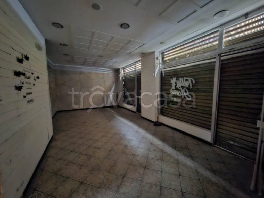 immagine annuncio 11 di 14