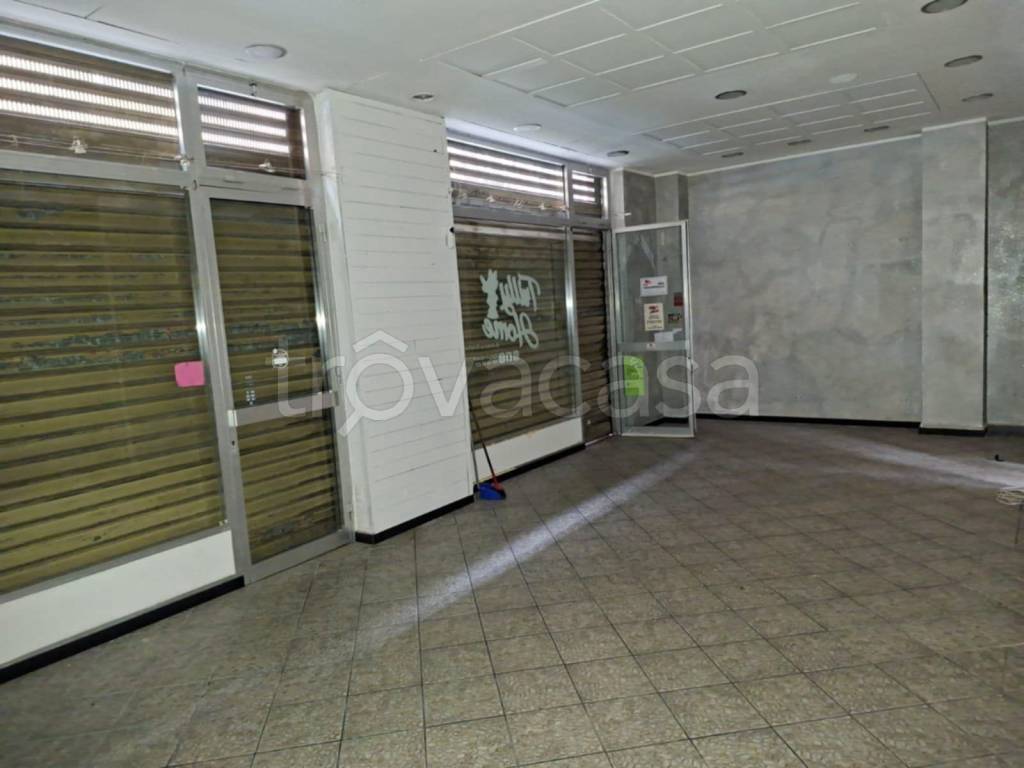 immagine annuncio 12 di 14