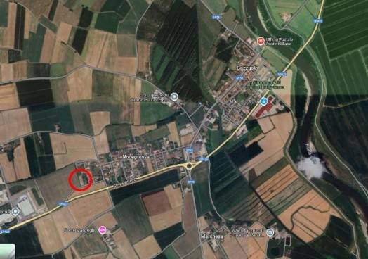 immagine annuncio 1 di 11