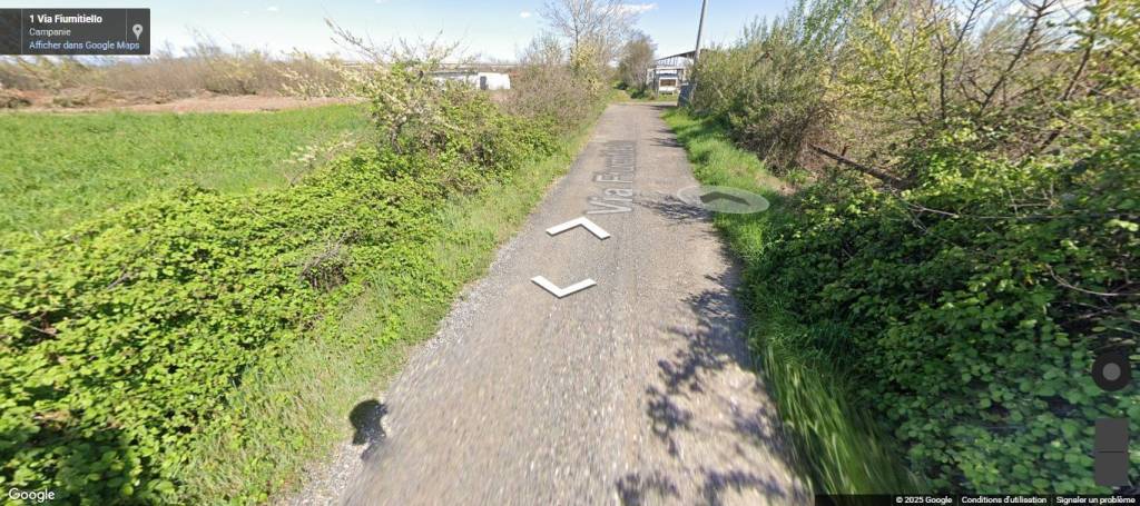 immagine annuncio 5 di 12