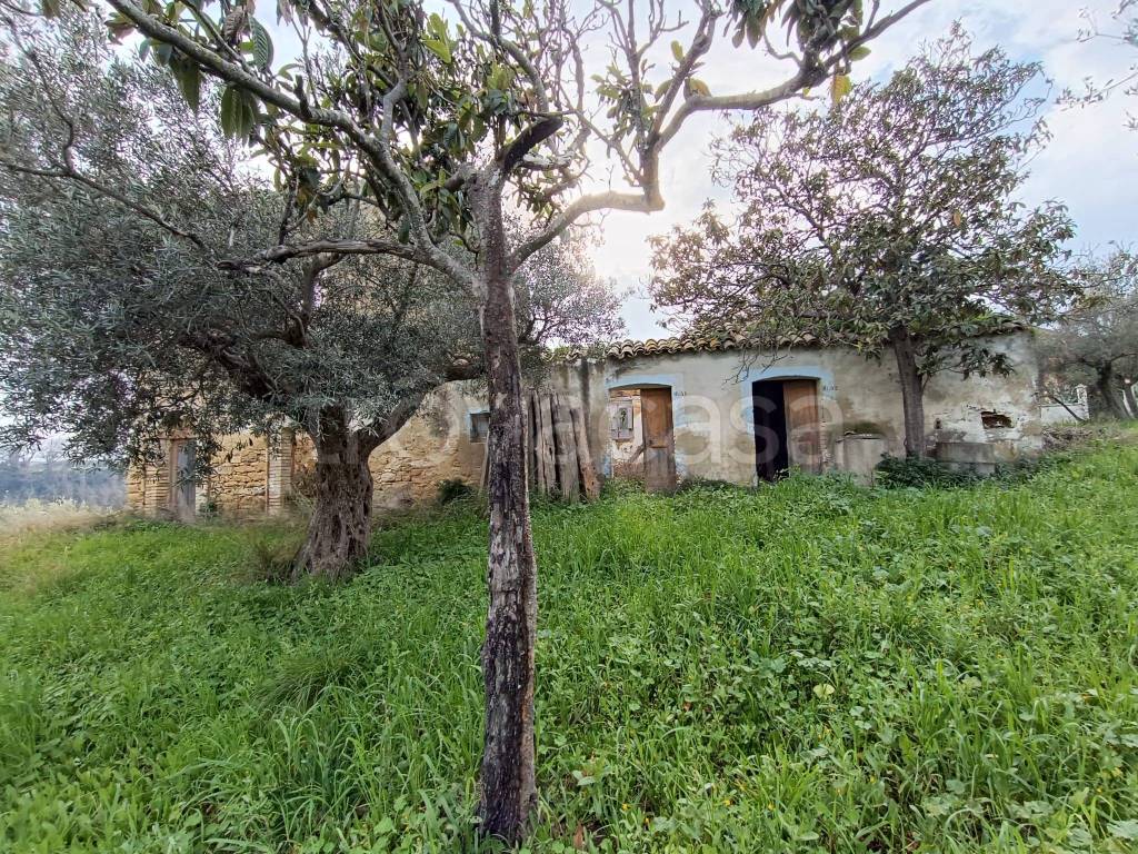 immagine annuncio 10 di 13