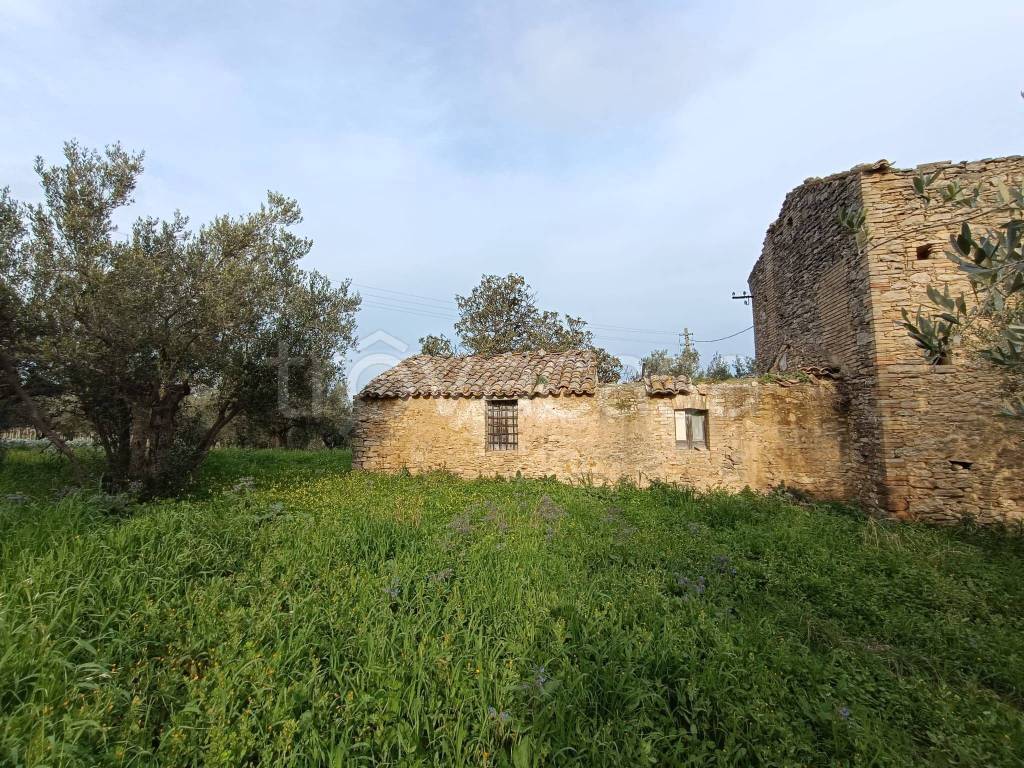 immagine annuncio 3 di 13