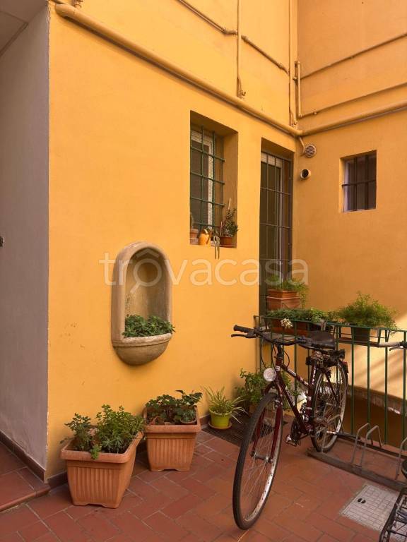 immagine annuncio 6 di 8