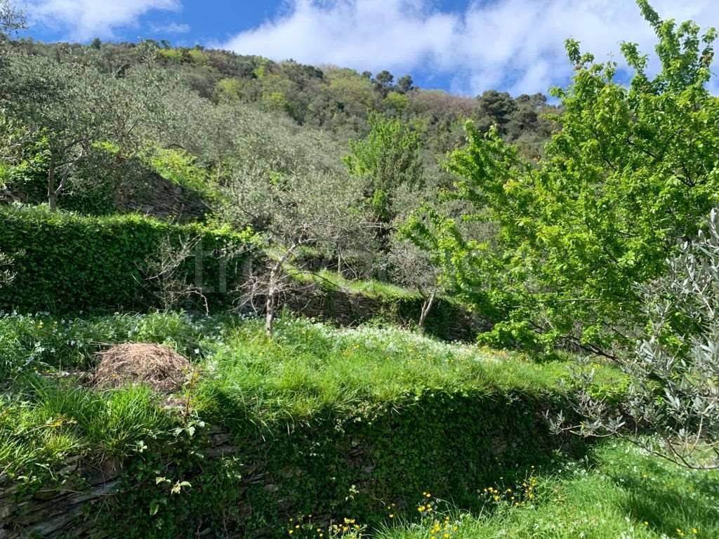 immagine annuncio 6 di 9