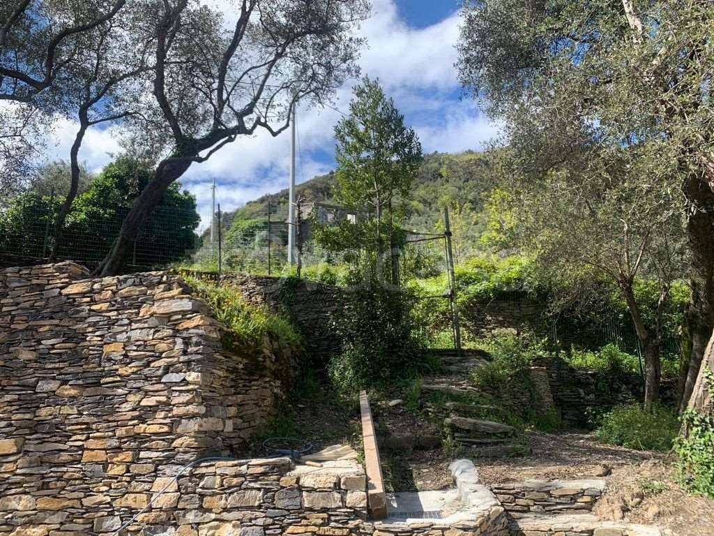 immagine annuncio 7 di 9