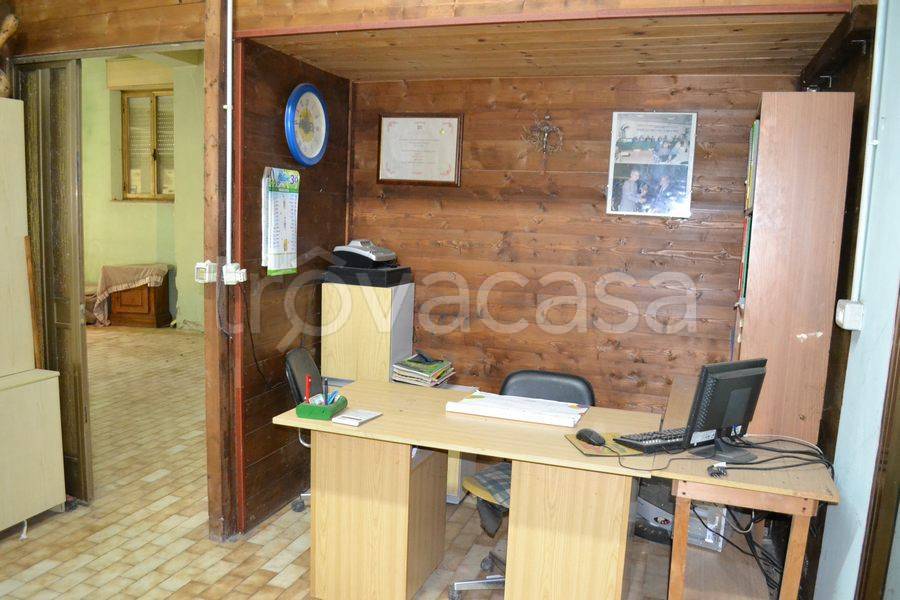 immagine annuncio 5 di 11