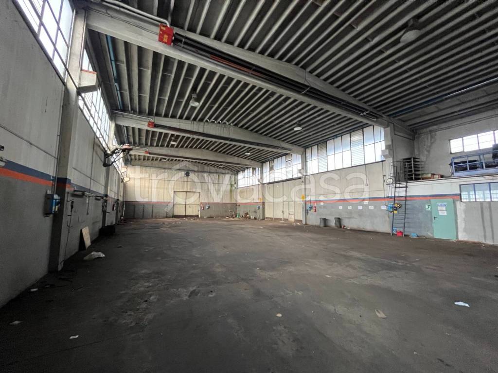 immagine annuncio 10 di 15