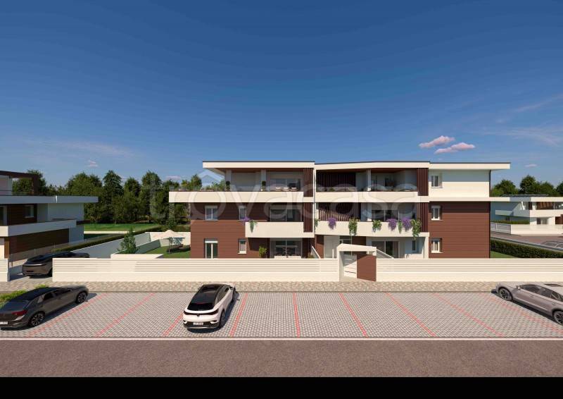 immagine annuncio 9 di 12