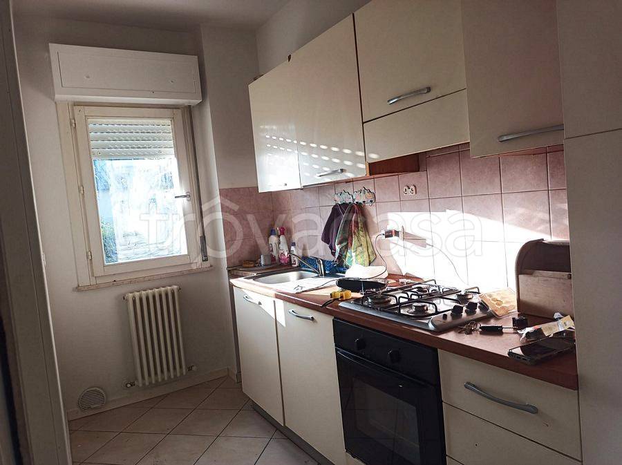 immagine annuncio 2 di 14