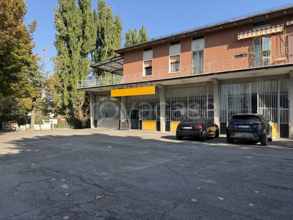 immagine annuncio 2 di 15