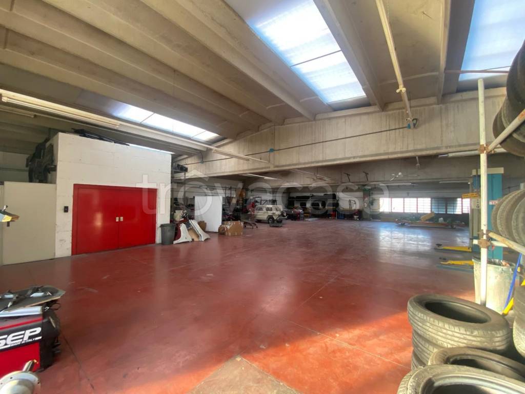 immagine annuncio 5 di 11