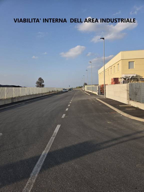 immagine annuncio 2 di 3