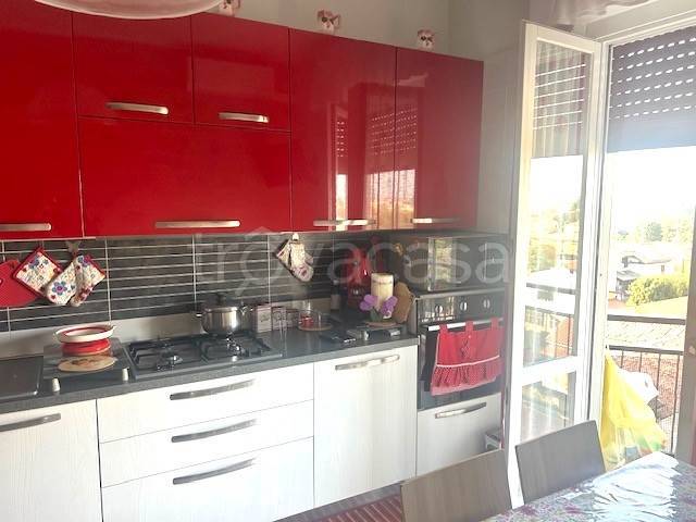 immagine annuncio 6 di 15