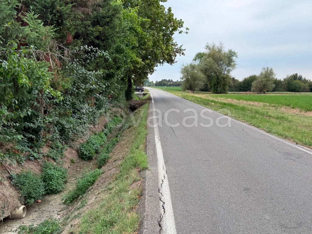 immagine annuncio 1 di 2