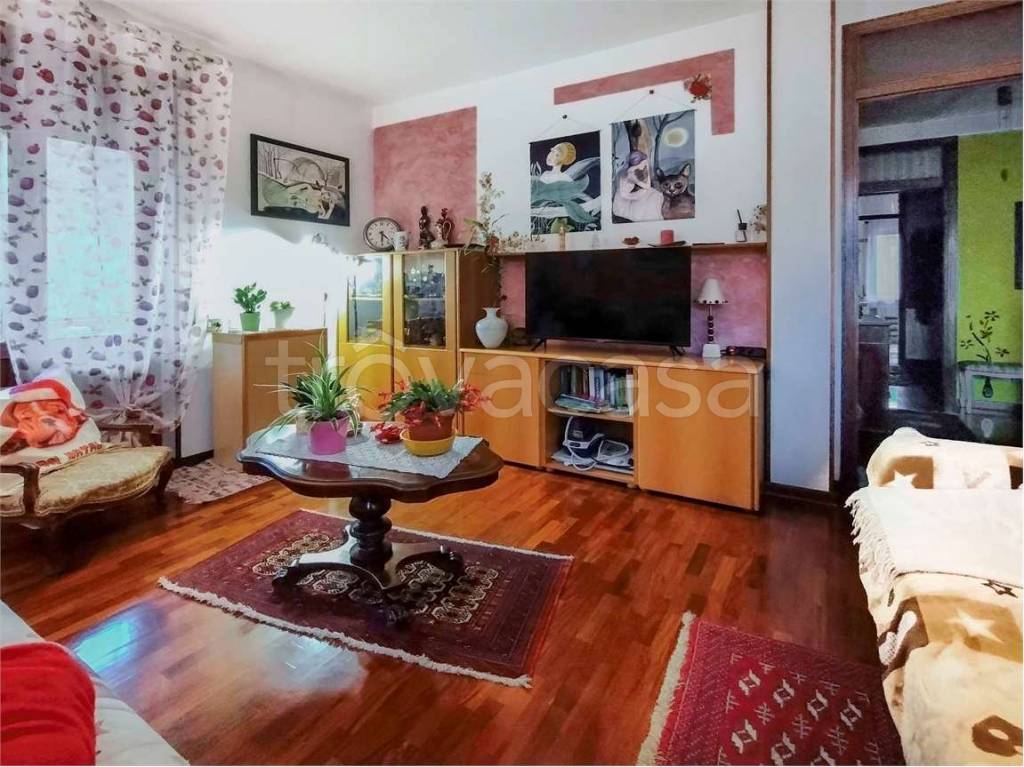 immagine annuncio 6 di 15