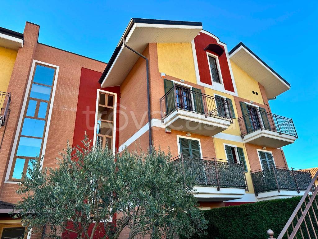 immagine annuncio 1 di 15