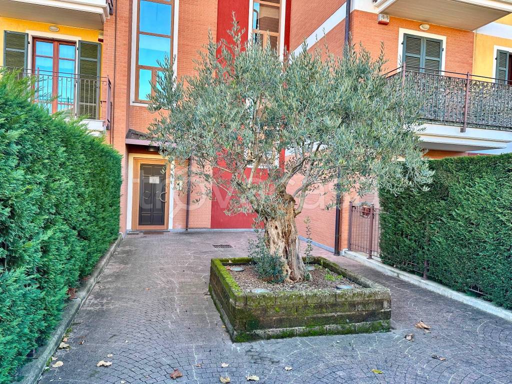 immagine annuncio 4 di 15