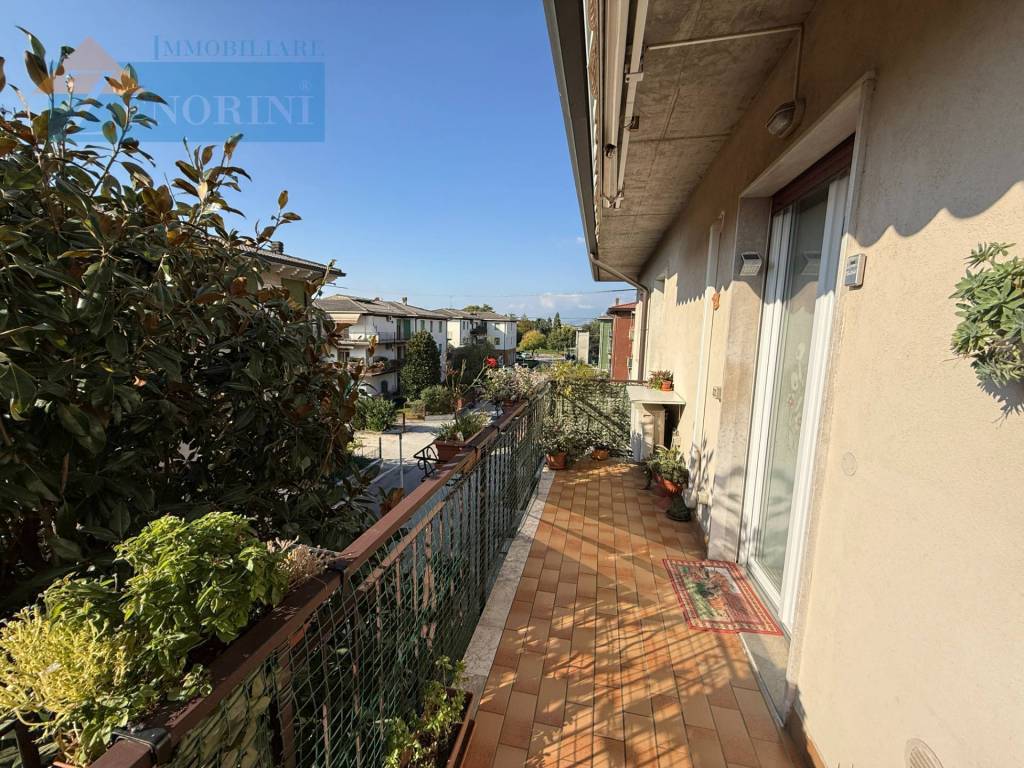 immagine annuncio 9 di 11