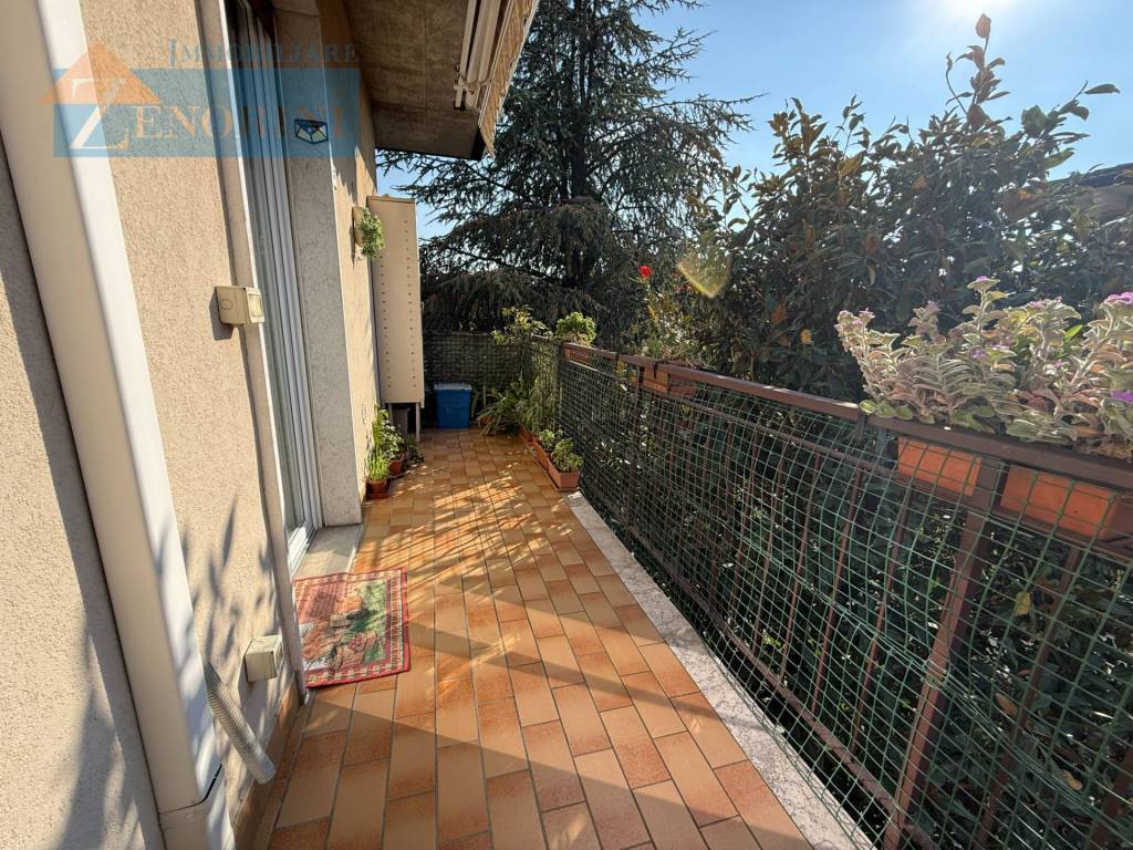 immagine annuncio 10 di 11