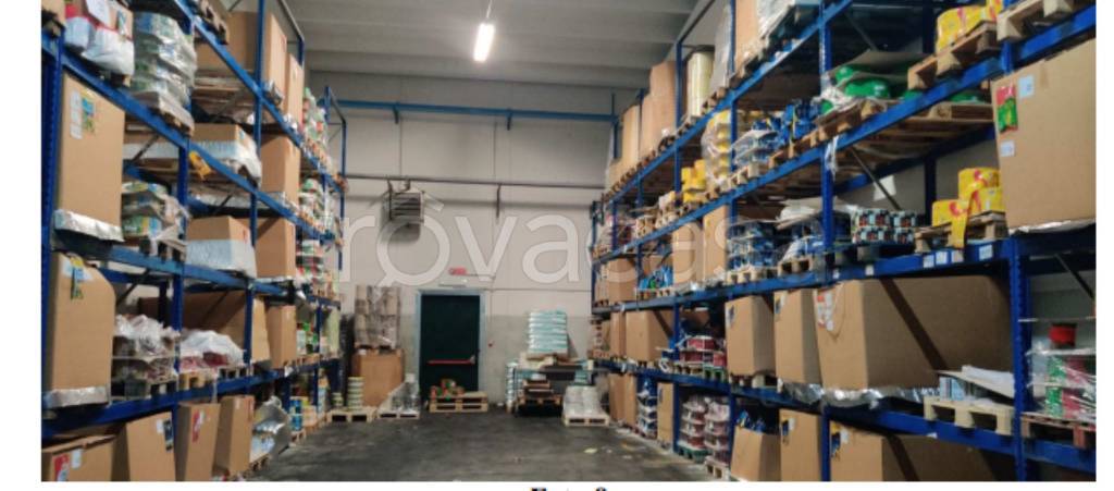 immagine annuncio 9 di 11