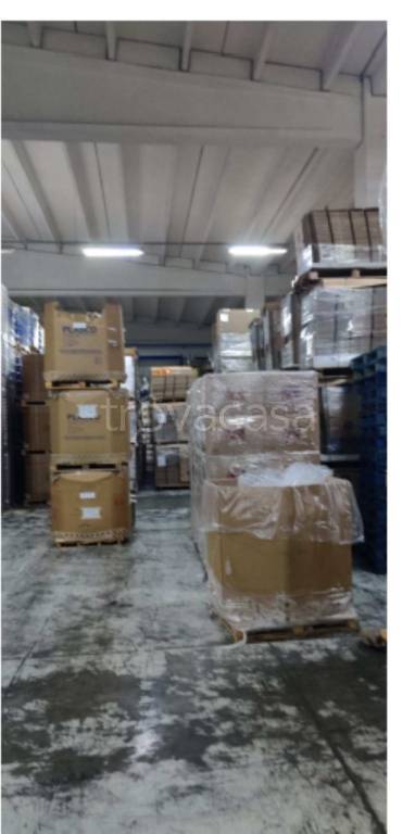 immagine annuncio 10 di 11