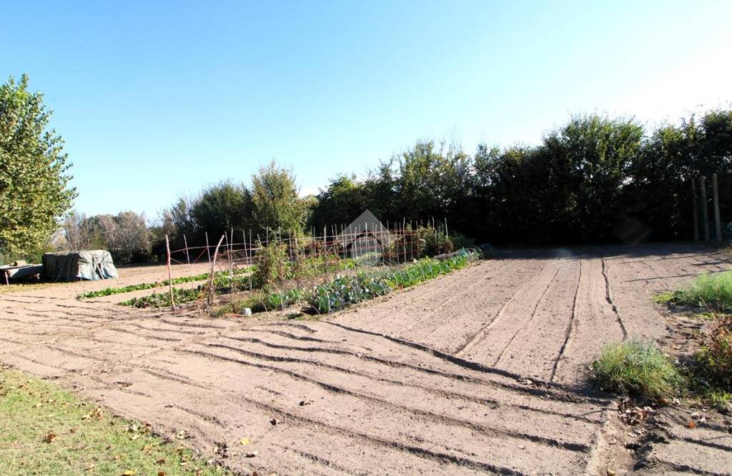 immagine annuncio 2 di 7