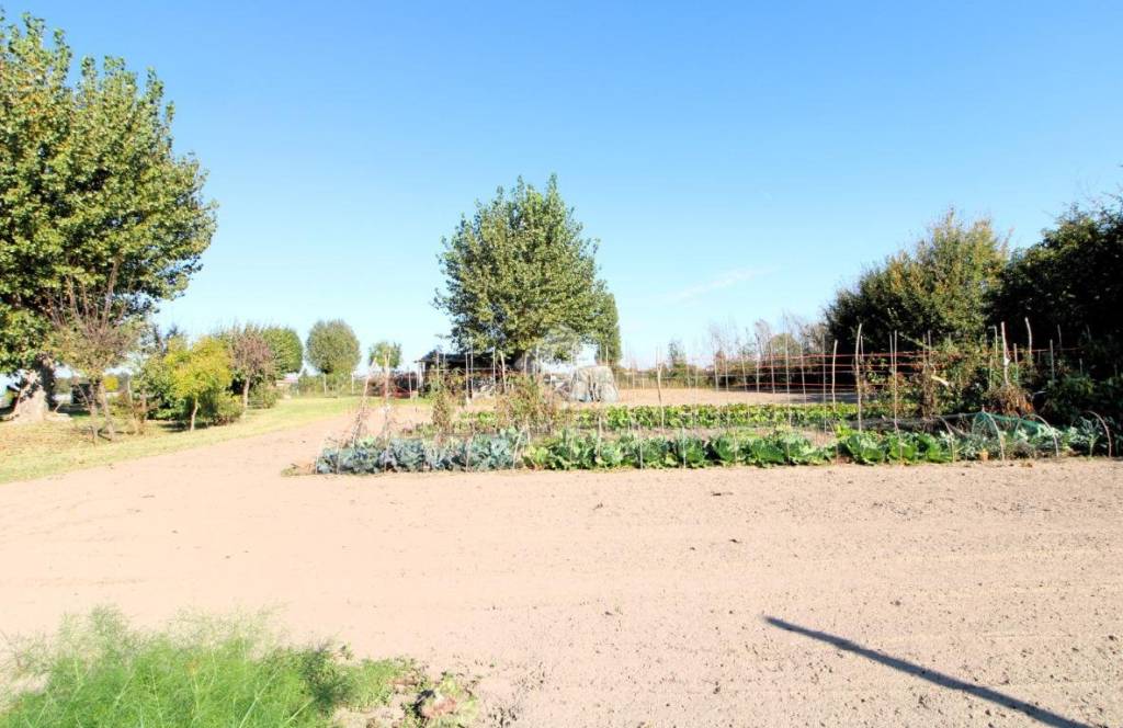 immagine annuncio 4 di 7