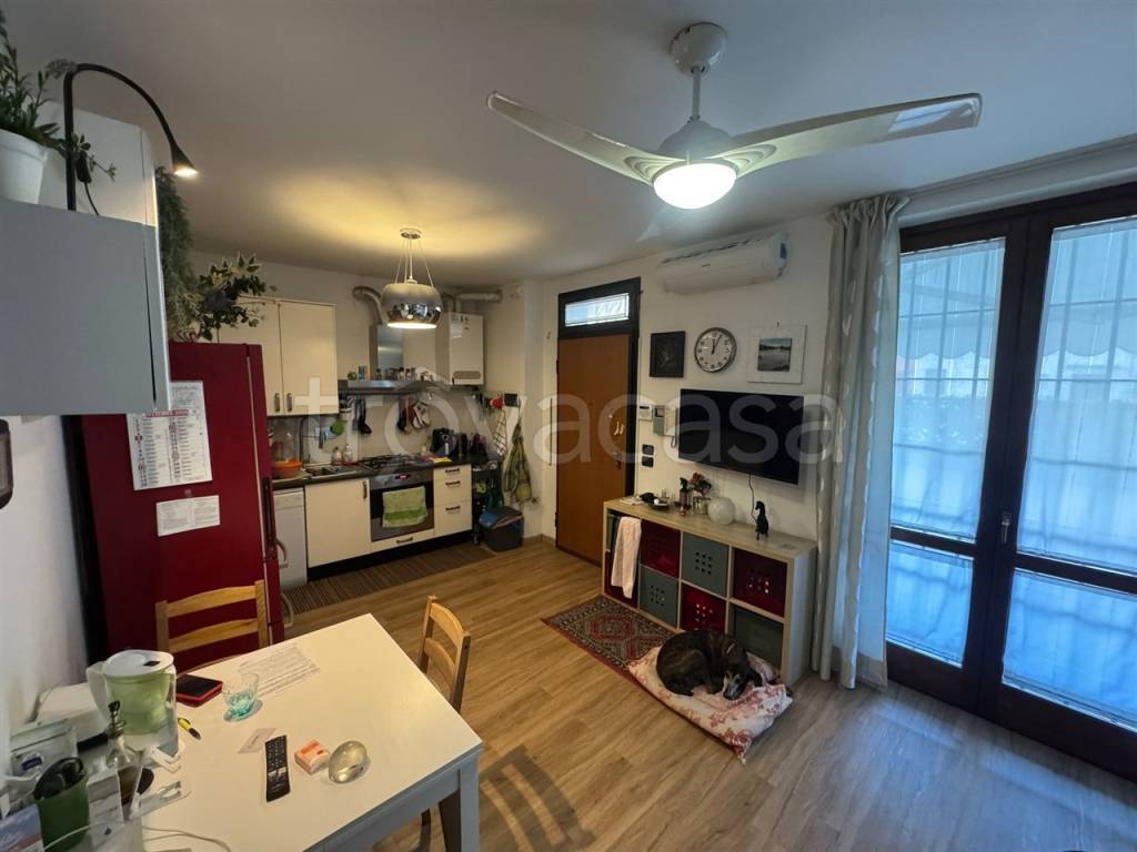 immagine annuncio 4 di 15