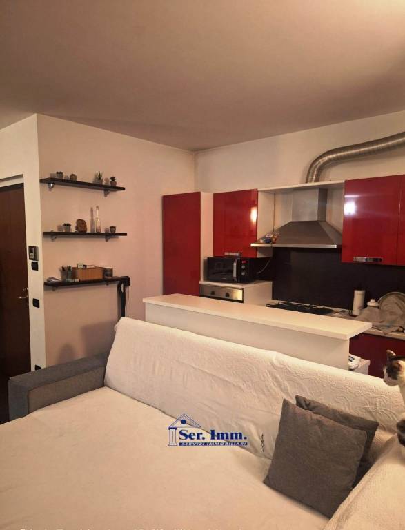 immagine annuncio 3 di 12