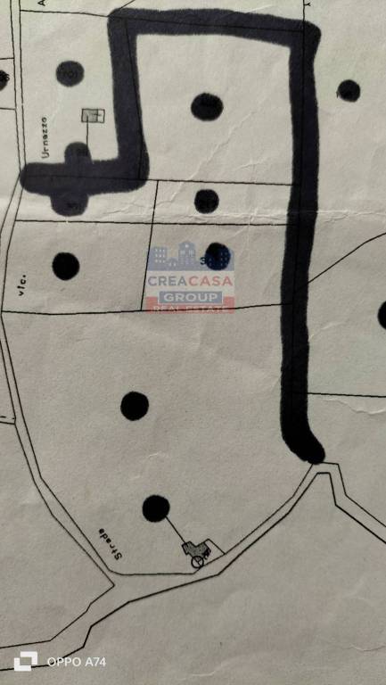 immagine annuncio 6 di 7