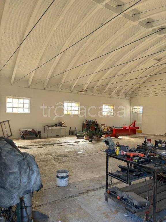 immagine annuncio 6 di 12