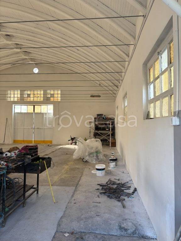 immagine annuncio 7 di 12