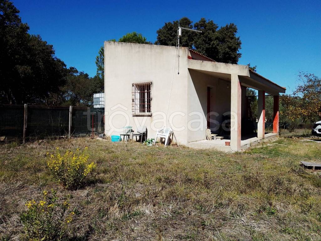 immagine annuncio 5 di 12