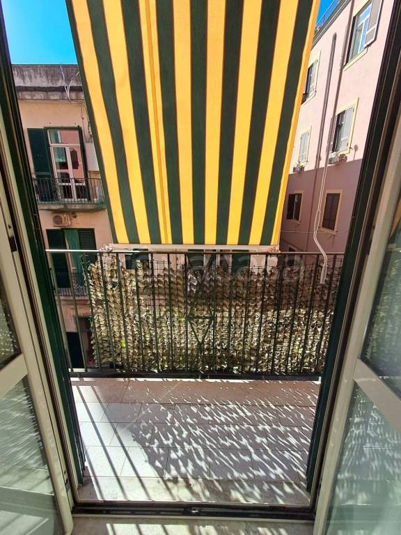 immagine annuncio 4 di 14