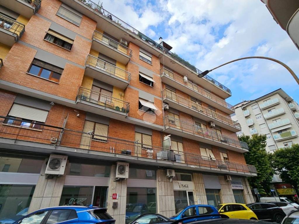 immagine annuncio 1 di 14