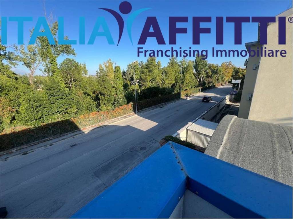 immagine annuncio 12 di 14