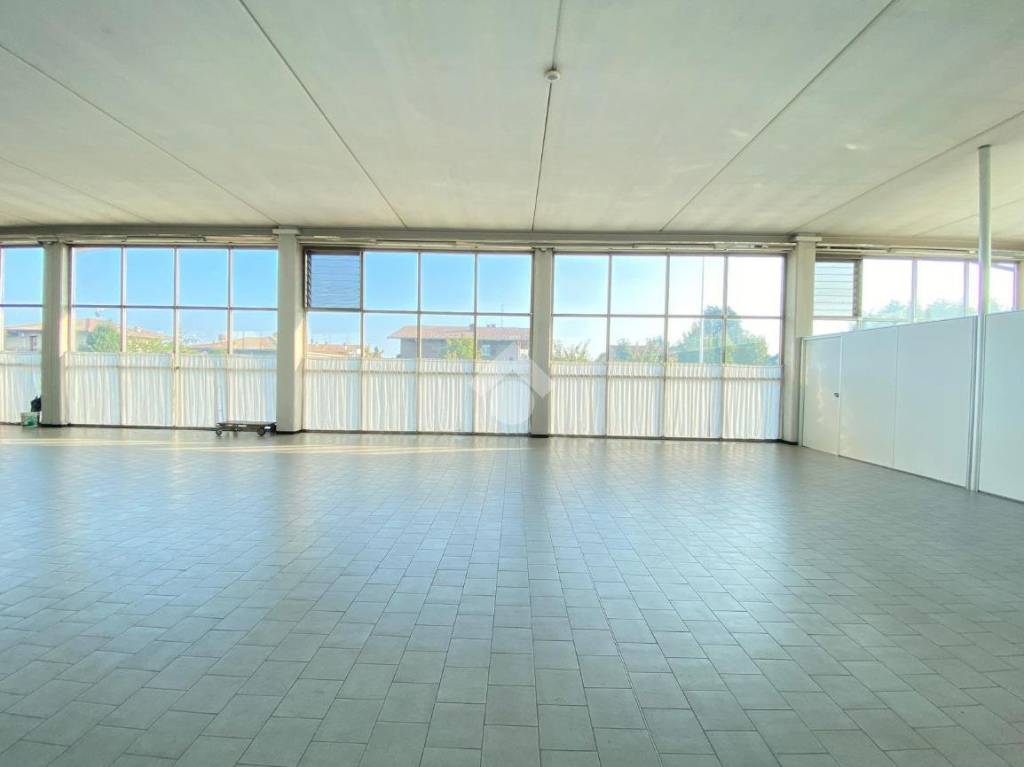 immagine annuncio 3 di 8