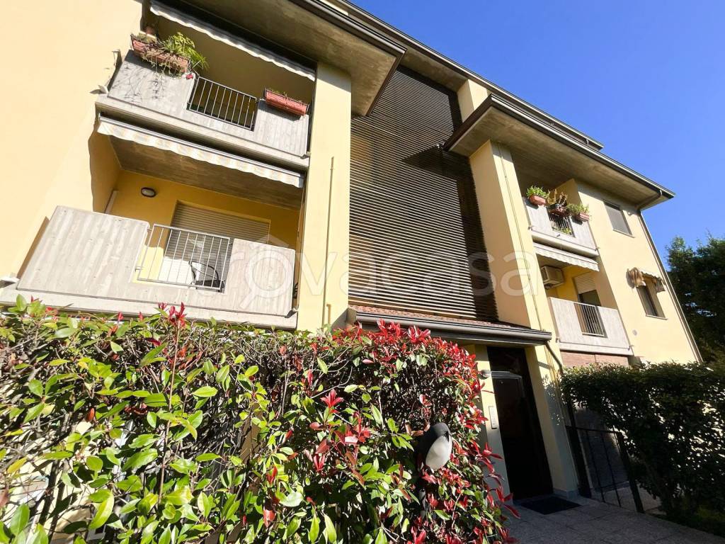 immagine annuncio 1 di 2