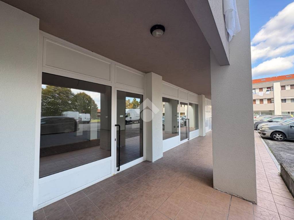 immagine annuncio 3 di 6