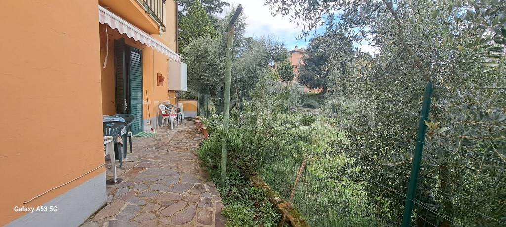 immagine annuncio 2 di 12