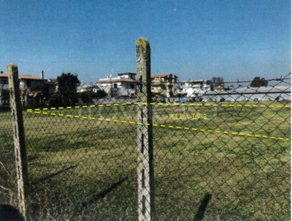 immagine annuncio 2 di 11