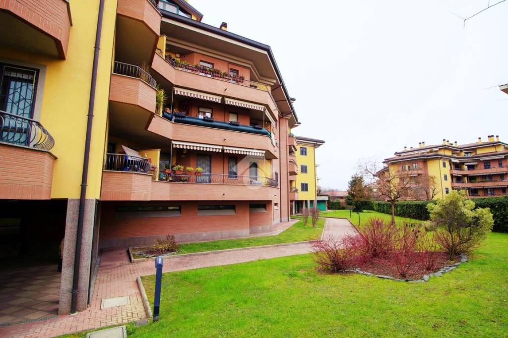 immagine annuncio 1 di 15