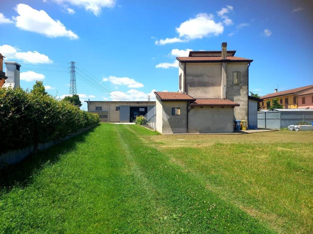 immagine annuncio 3 di 15