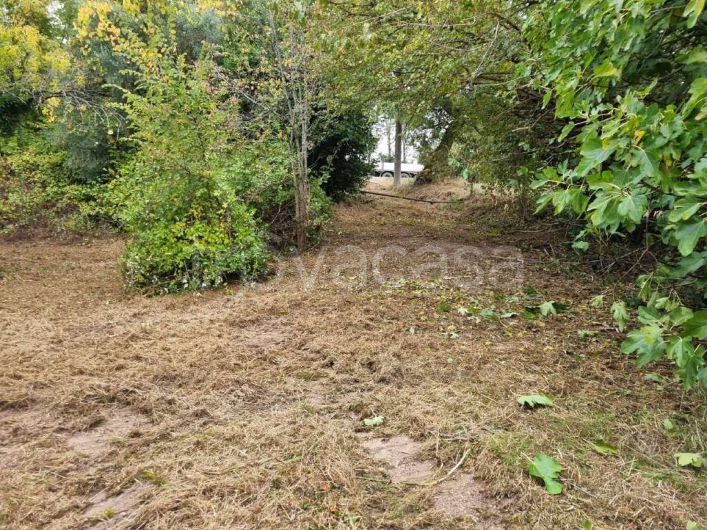 immagine annuncio 5 di 7